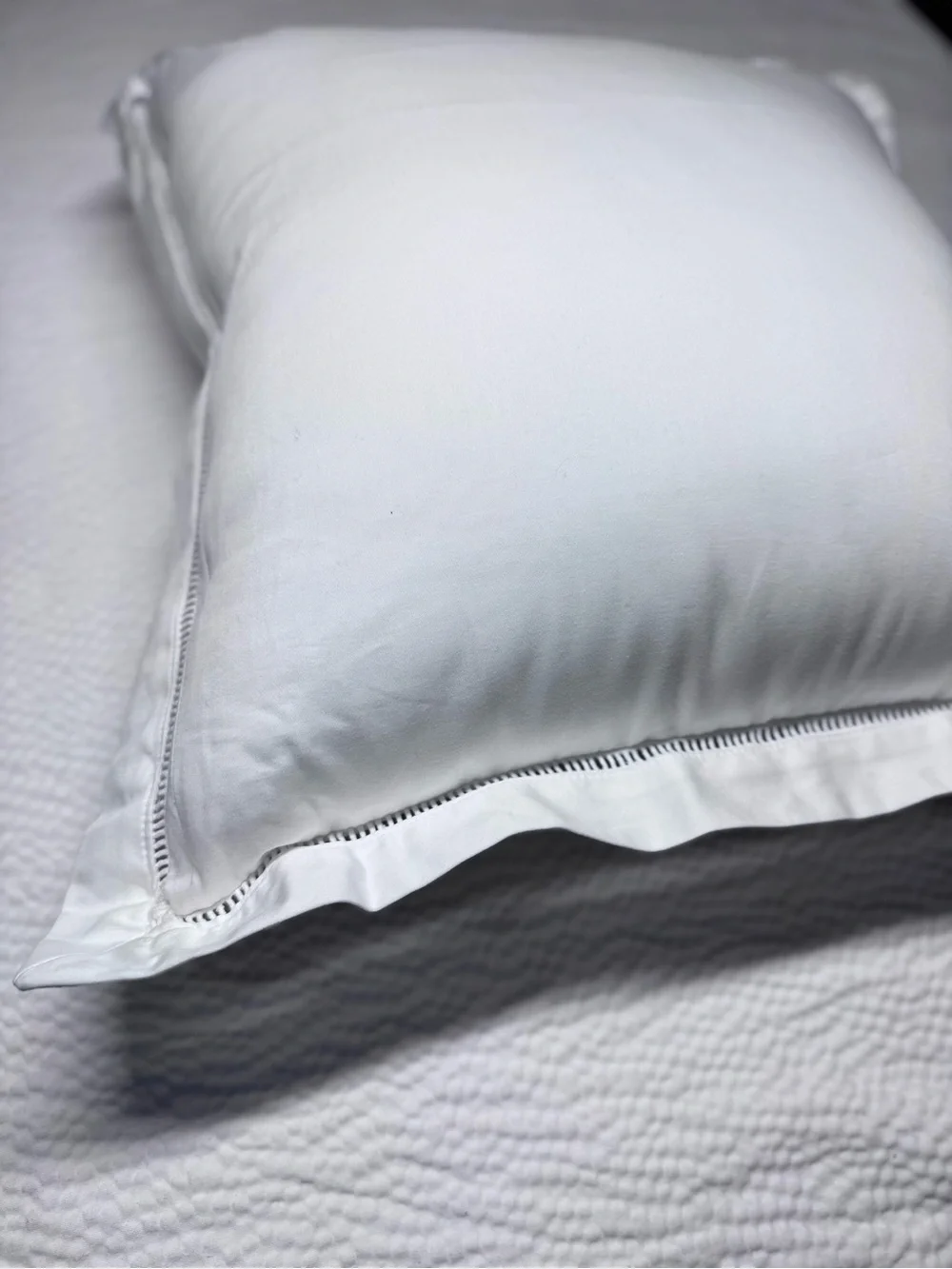 Southern Living White Sateen 20x20 Decorative Pillow NWT